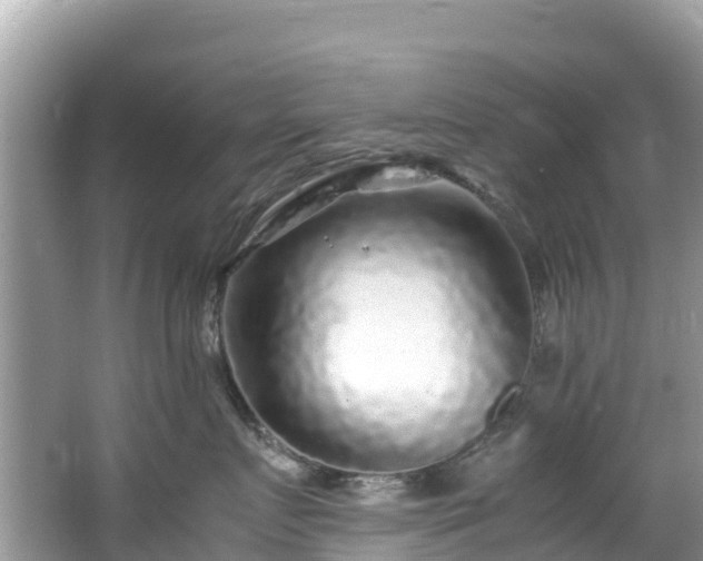 X0000065240719200602211213