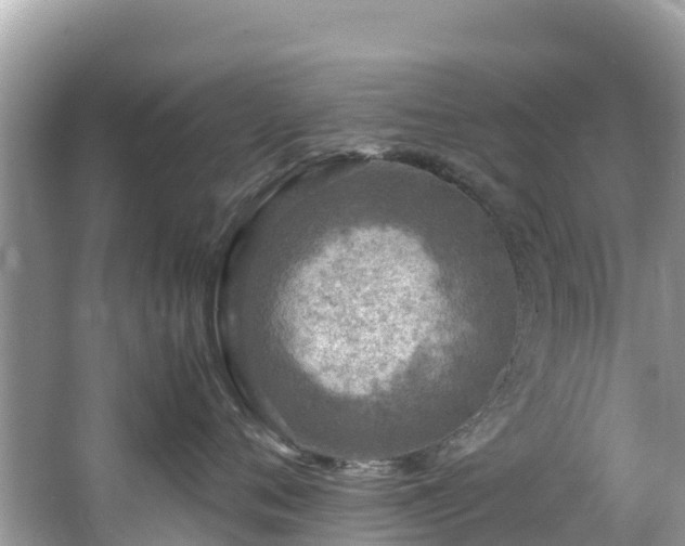 X0000065240720200602211213