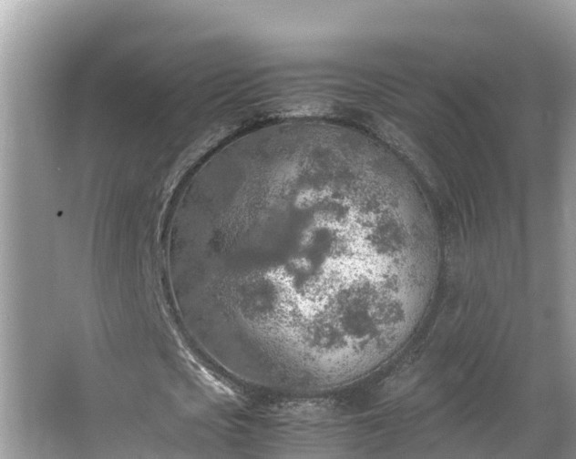 X0000065240721200602211212