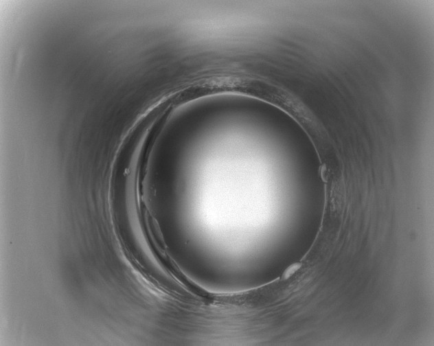 X0000065240722200602211212