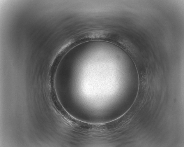 X0000065240727200602211212