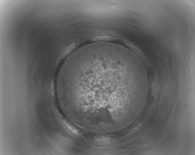 X0000065240729200602211212