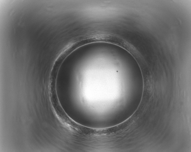 X0000065240730200602211212