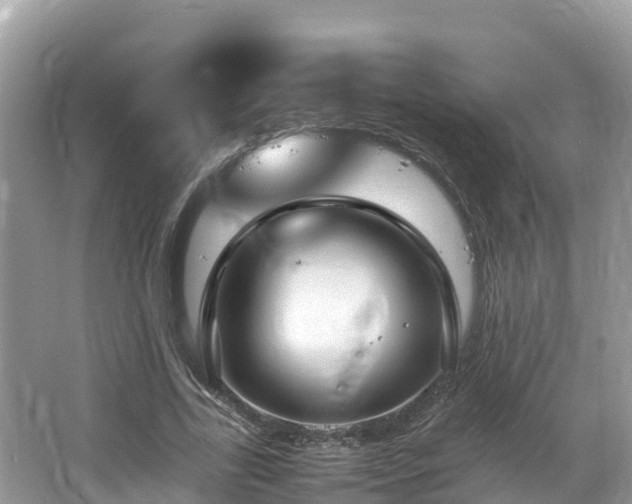 X0000065240731200602211212