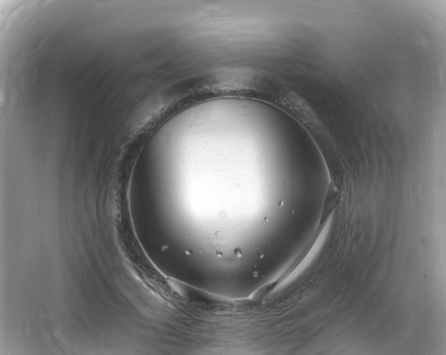 X0000065240732200602211212