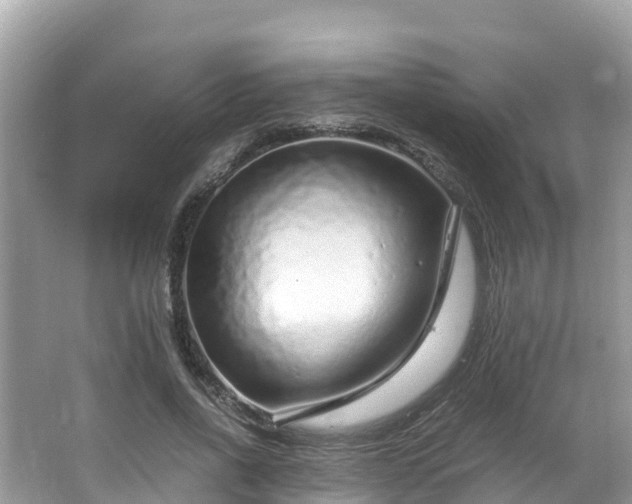 X0000065240734200602211212