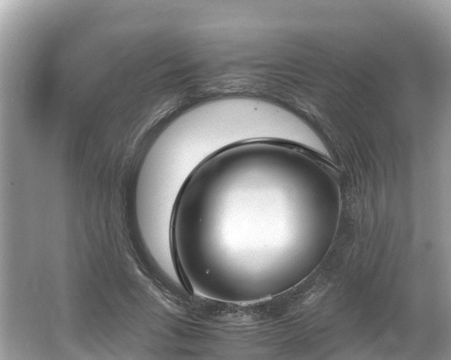 X0000065240735200602211212