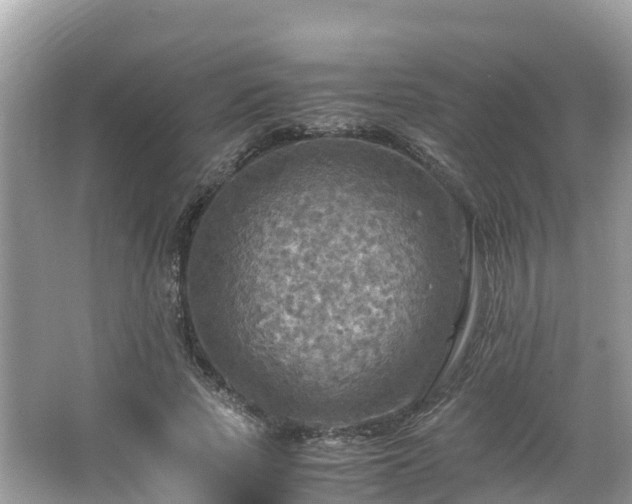 X0000065240737200602211212