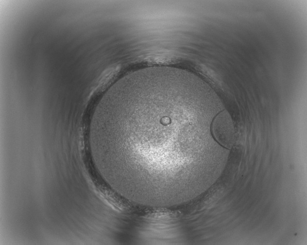 X0000065240738200602211212