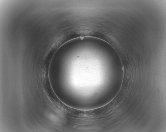 X0000065240739200602211212