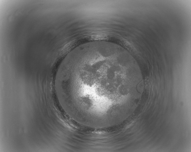 X0000065240741200602211212