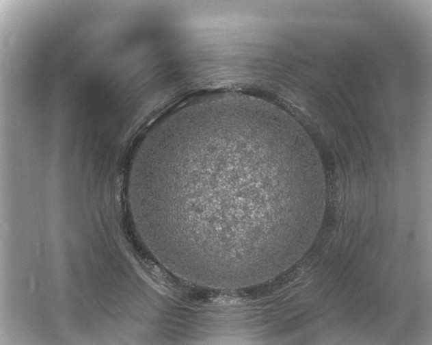 X0000065240742200602211212