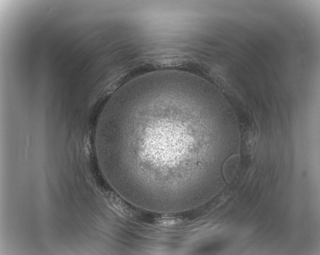 X0000065240746200602211212