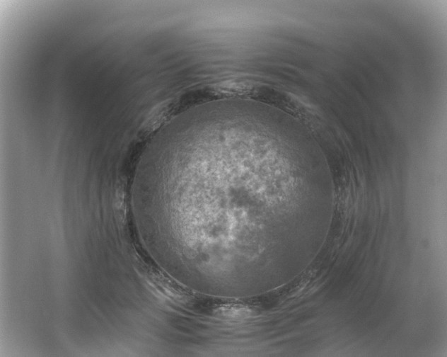 X0000065240749200602211212