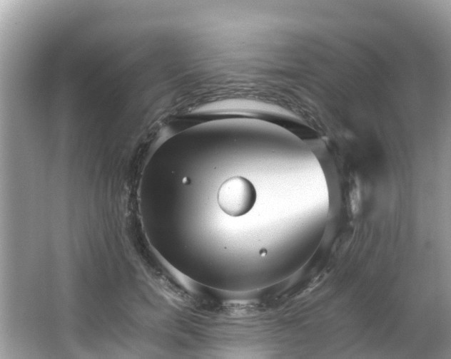 X0000065240750200602211212