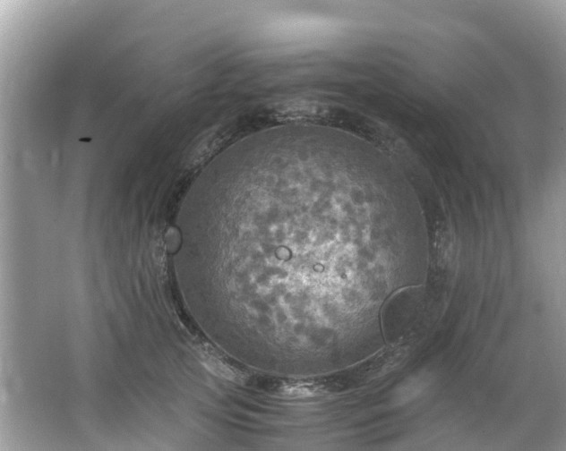 X0000065240753200602211212