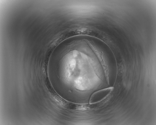 X0000065240754200602211212