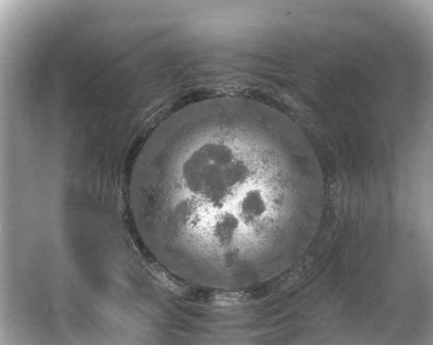 X0000065240757200602211212