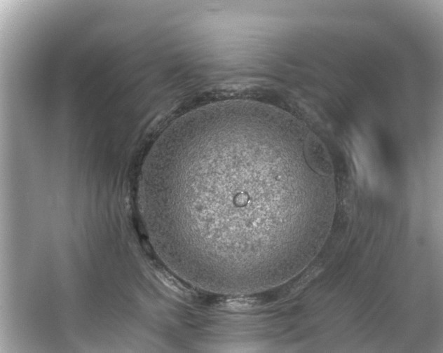 X0000065240758200602211213