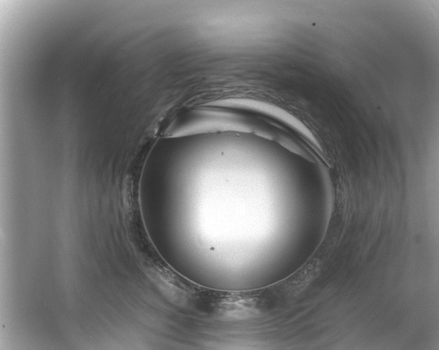 X0000065240760200602211213