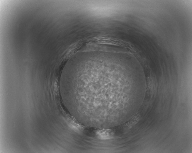 X0000065240761200602211213