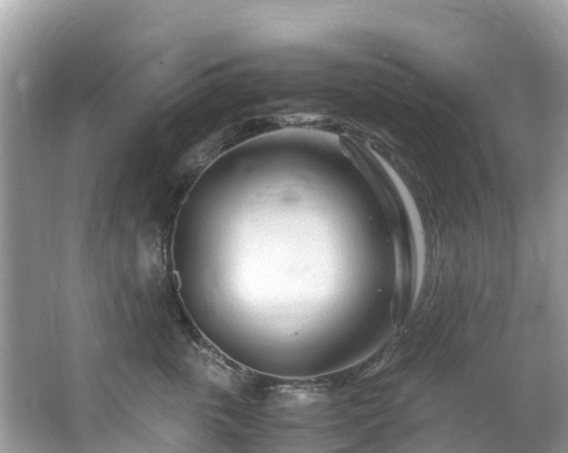 X0000065240763200602211213