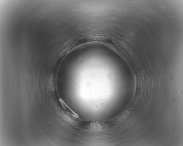 X0000065240764200602211213