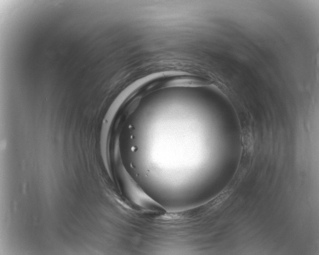 X0000065240766200602211213