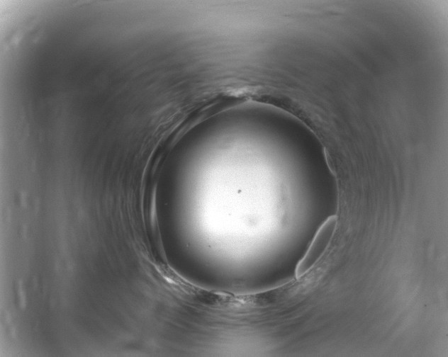 X0000065240768200602211213