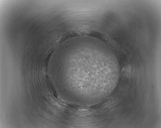 X0000065240772200602211212