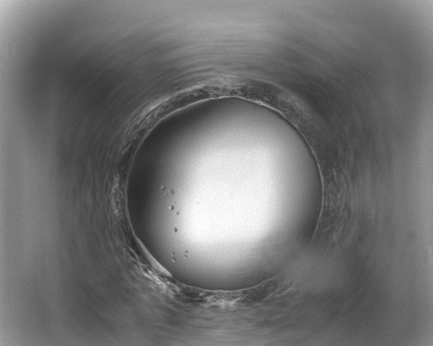 X0000065240773200602211212