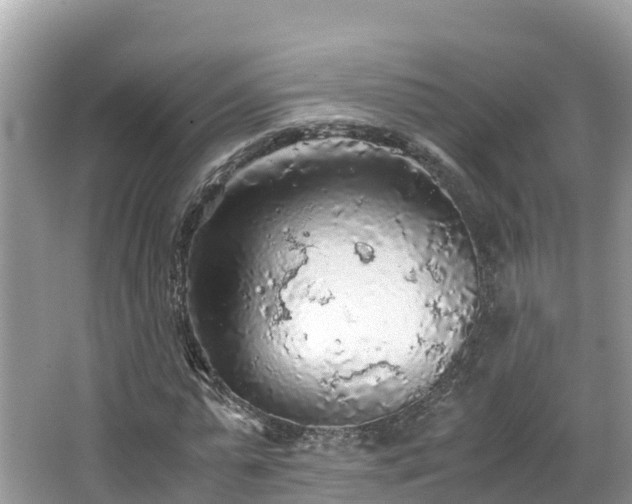 X0000065240775200602211212