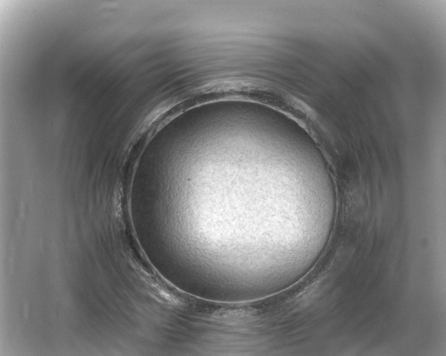 X0000065240778200602211212