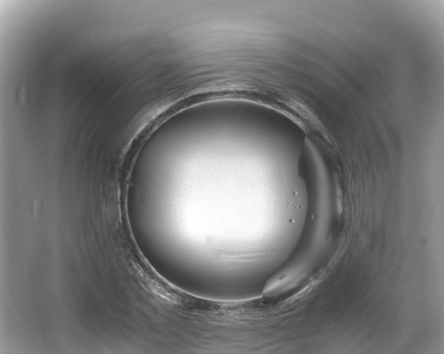 X0000065240781200602211212