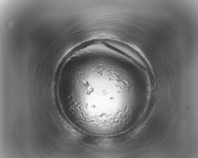 X0000065240783200602211212