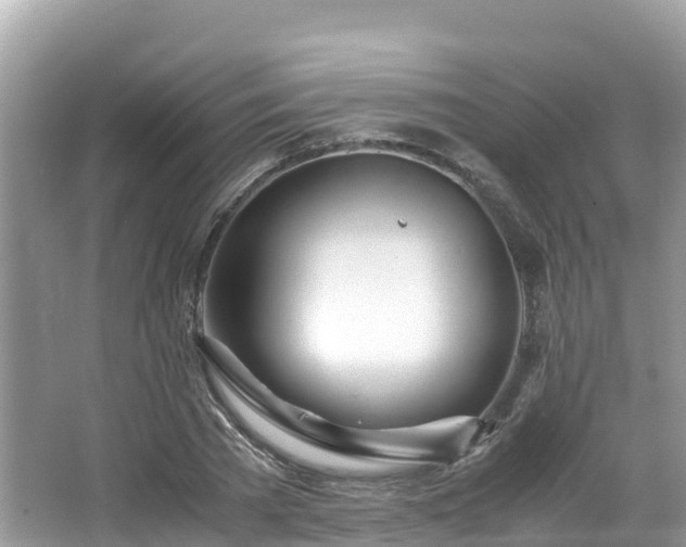 X0000065240785200602211211