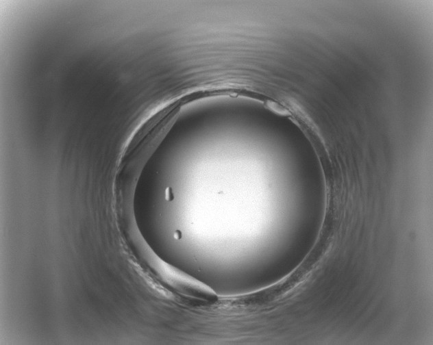 X0000065240789200602211211