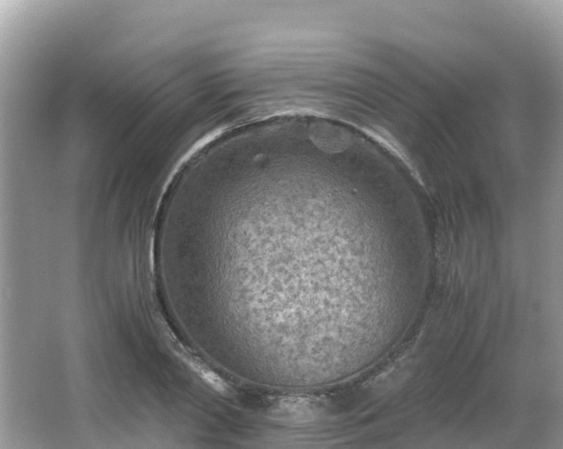 X0000065240790200602211211