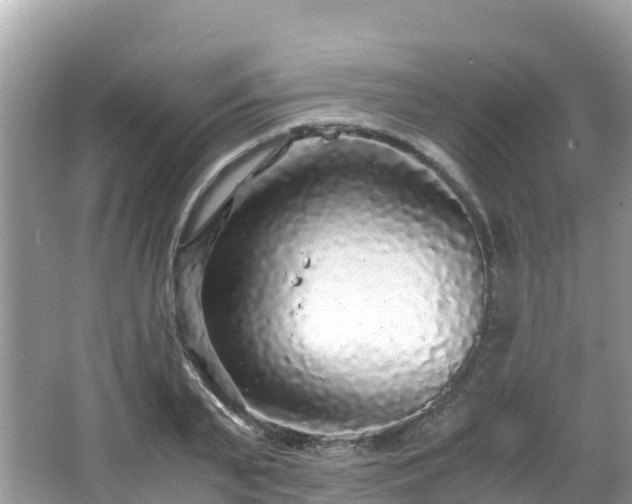 X0000065240791200602211211