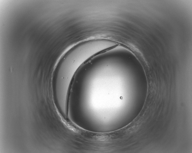 X0000065240792200602211211