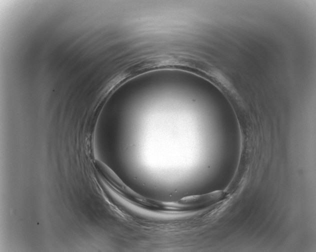 X0000065240793200602211211