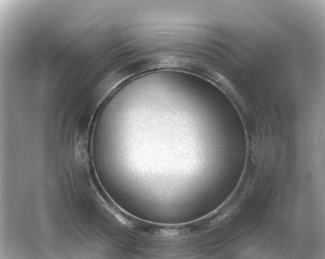 X0000065240794200602211211