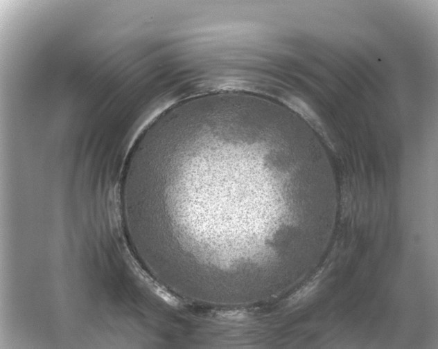 X0000065240798200602211211