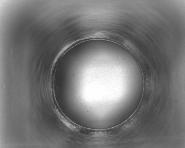 X0000065240800200602211211