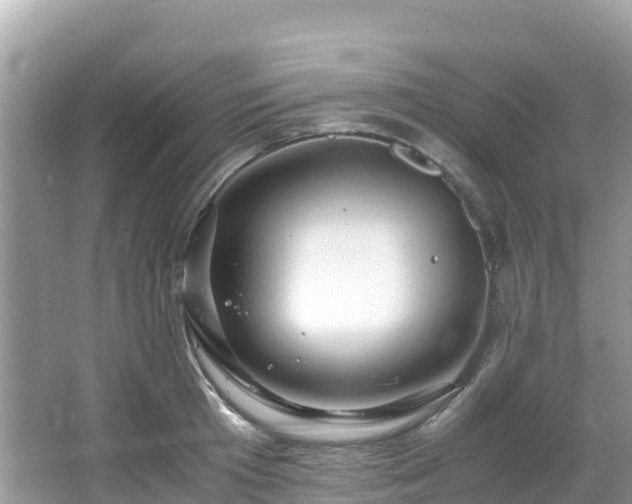 X0000065240801200602211211