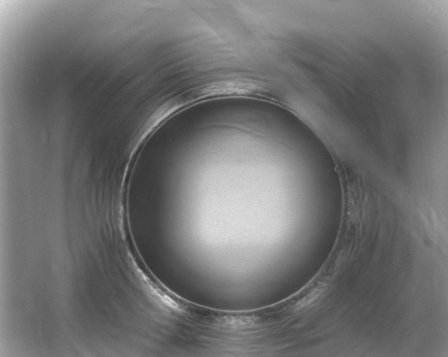 X0000065240802200602211211