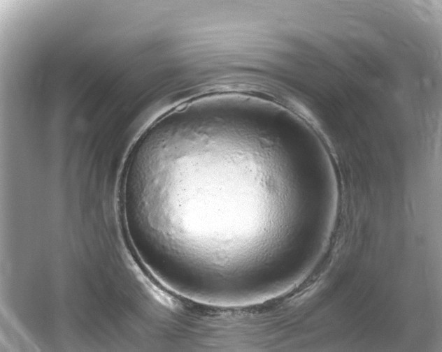 X0000065240803200602211211