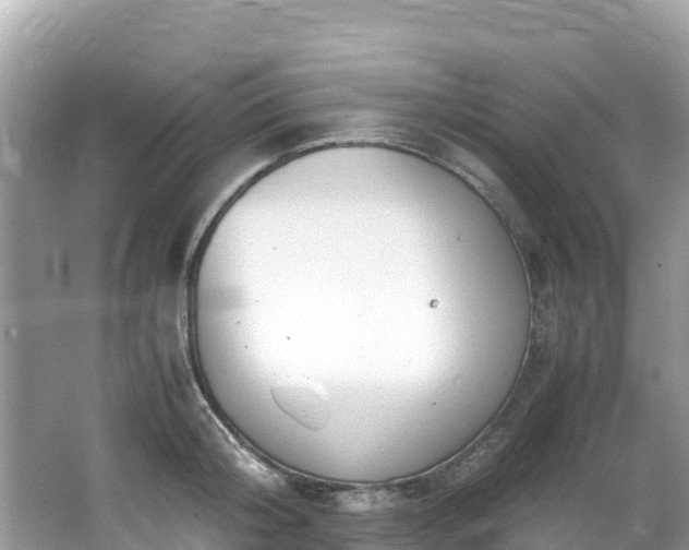 X0000065240804200602211211