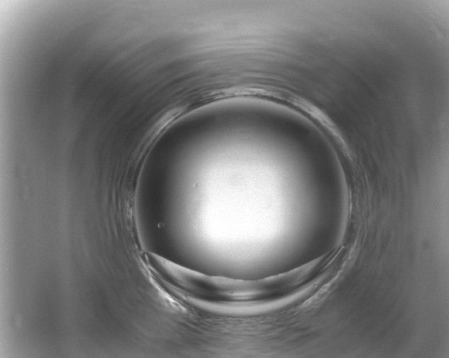 X0000065240809200602211211