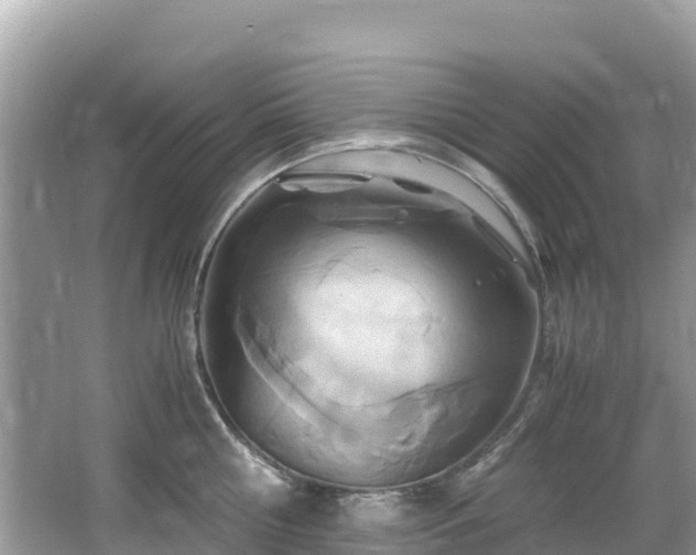 X0000065240810200602211211